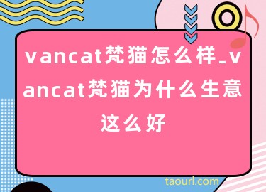 vancat梵猫怎么样-vancat梵猫为什么生意这么好