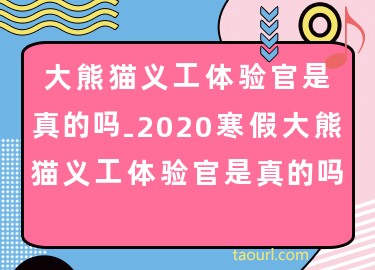大熊猫义工体验官是真的吗-2020寒假大熊猫义工体验官是真的吗